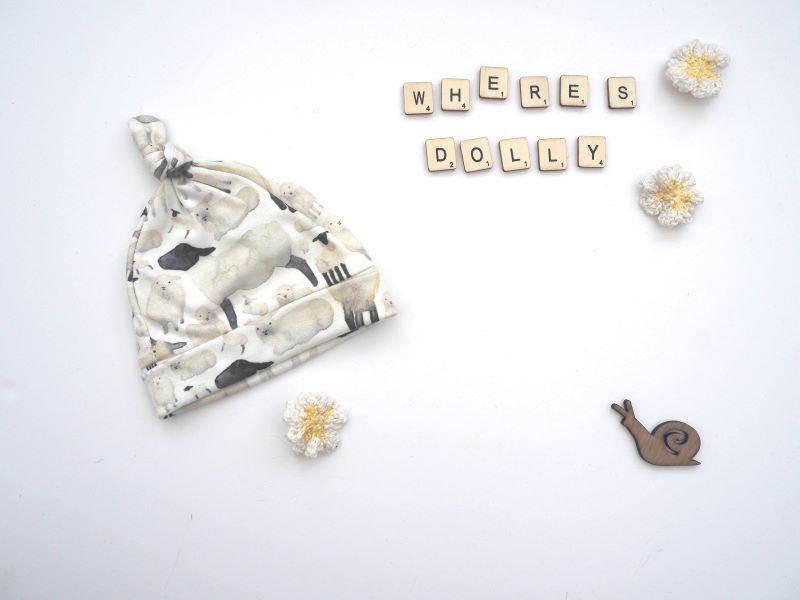 Where's Dolly? Knot Hat Home Sewn Clementine